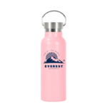 17oz Vacuum Insulated Bottle with Stainless Steel Lid