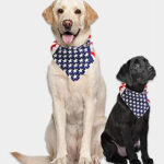 Custom Doggy Bandana